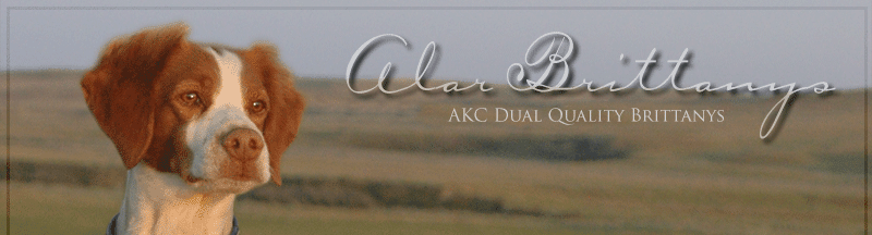 Alar Brittanys