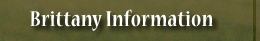 Brittany Information