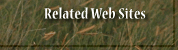 Related Sites